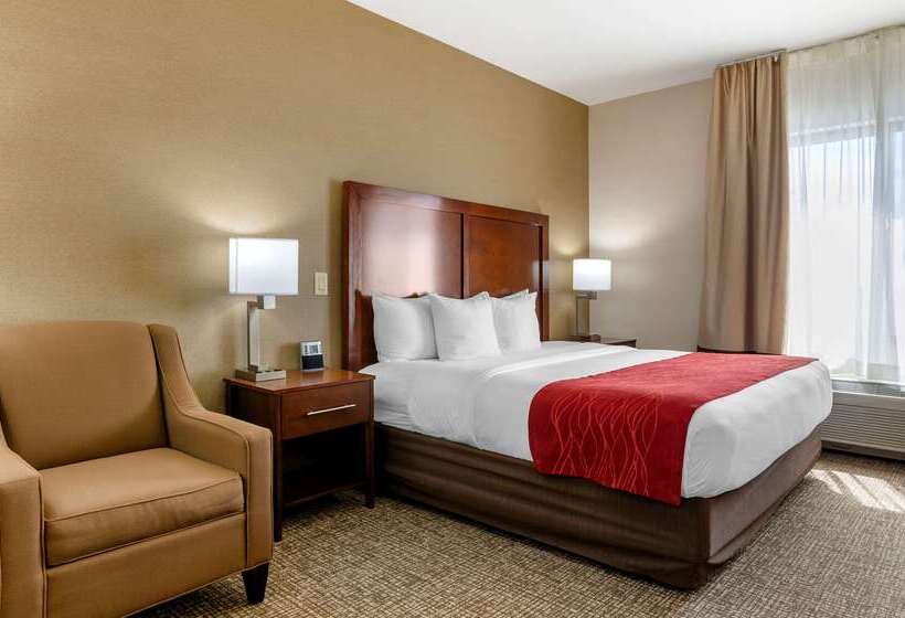 בית מלון כפרי Comfort Inn & Suites Jerome   Twin Falls