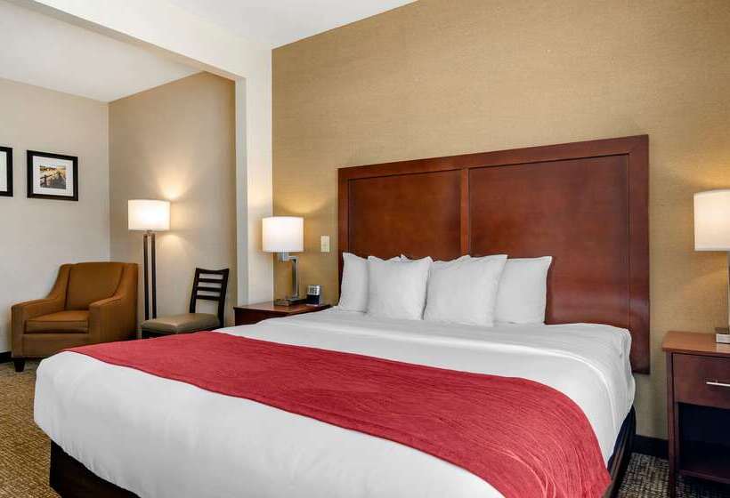 בית מלון כפרי Comfort Inn & Suites Jerome   Twin Falls