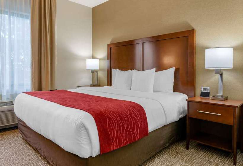 בית מלון כפרי Comfort Inn & Suites Jerome   Twin Falls