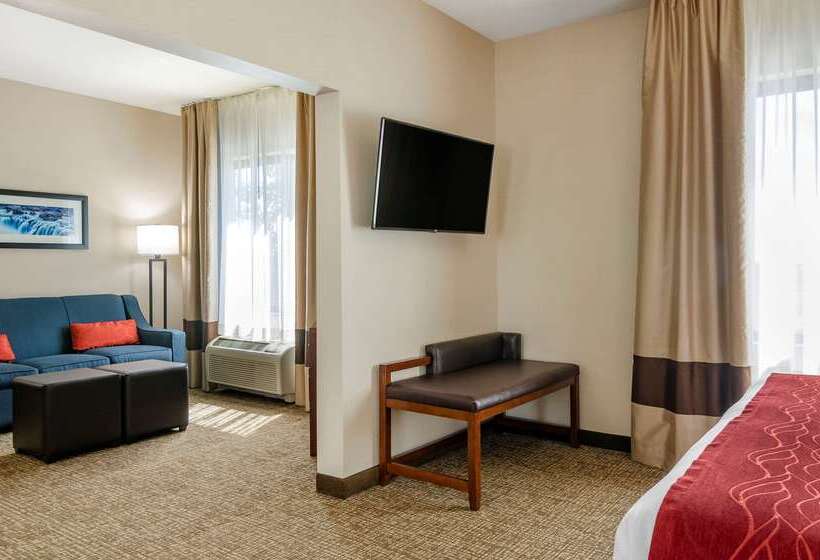 בית מלון כפרי Comfort Inn & Suites Jerome   Twin Falls