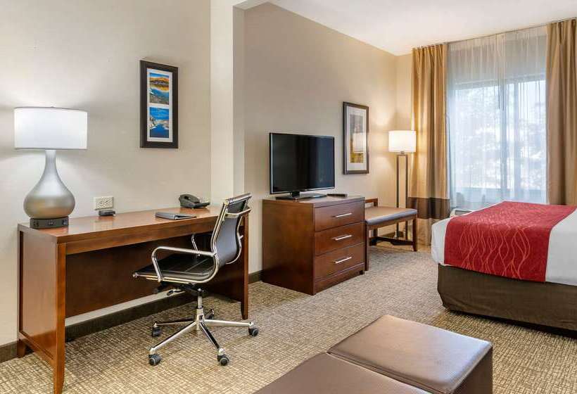 בית מלון כפרי Comfort Inn & Suites Jerome   Twin Falls