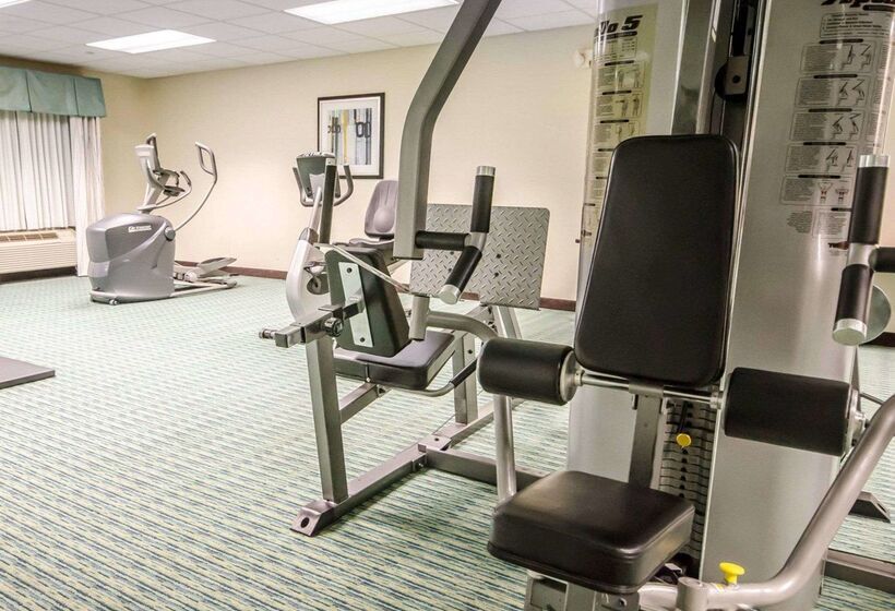 Отель Comfort Inn & Suites Shepherdsville Louisville South