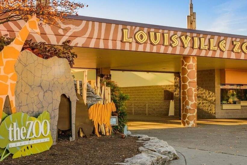 Отель Comfort Inn & Suites Shepherdsville Louisville South