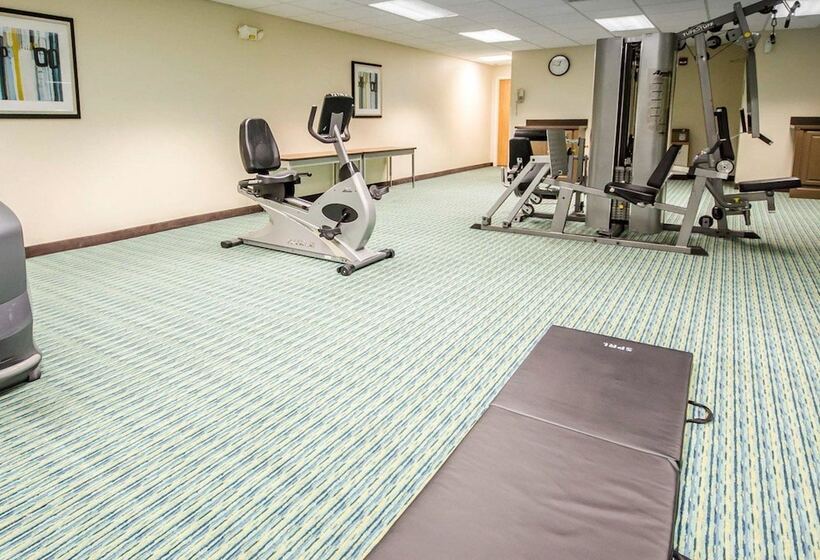 Отель Comfort Inn & Suites Shepherdsville Louisville South