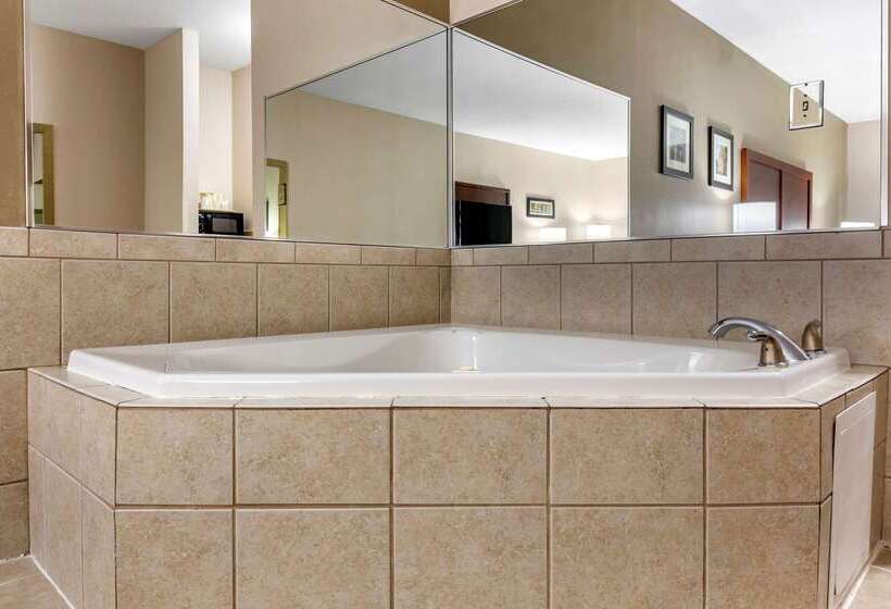 酒店 Comfort Inn Smithfield Near I 95