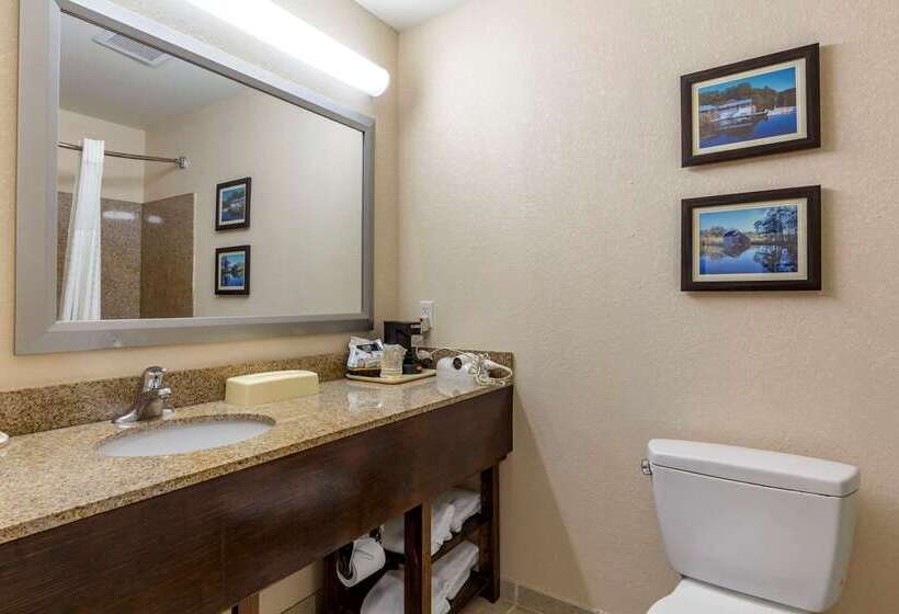 Отель Comfort Inn Smithfield Near I 95