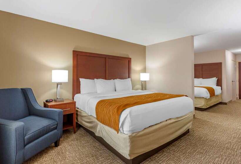 酒店 Comfort Inn Smithfield Near I 95