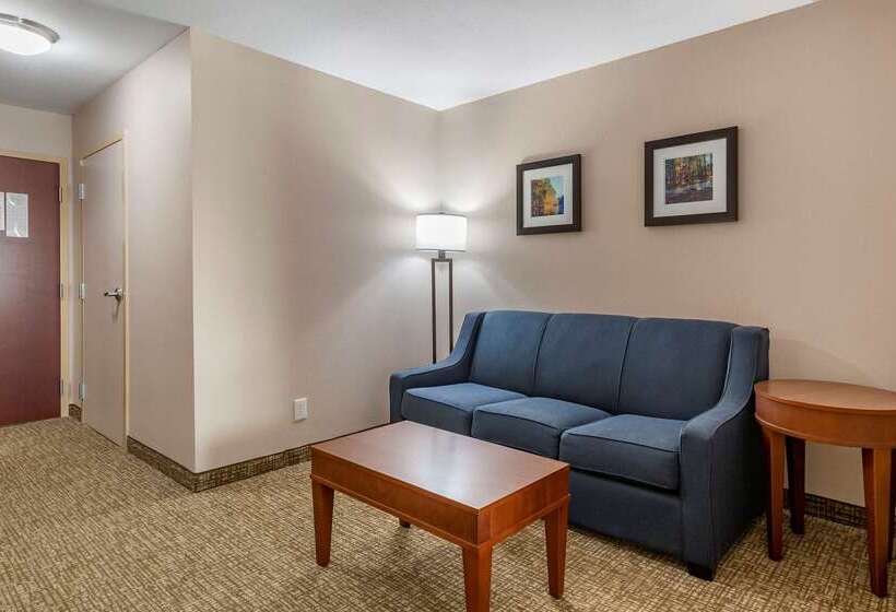 酒店 Comfort Inn Smithfield Near I 95