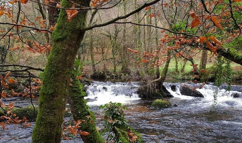 酒店 Eastwrey Barton Country House