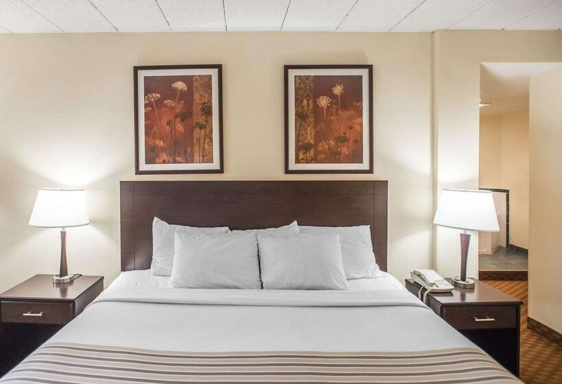 ホテル Econo Lodge Inn & Suites Shamokin Dam   Selinsgrove