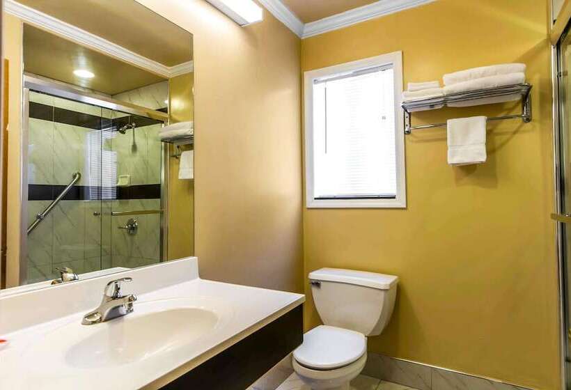 Отель Econo Lodge