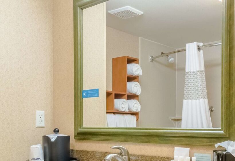 Отель Hampton Inn & Suites By Hilton Tomball Houston Nw