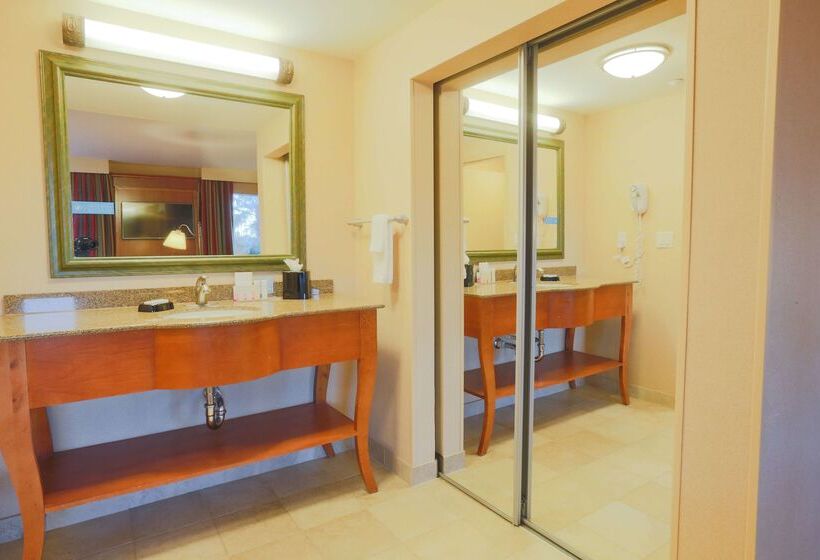 Отель Hampton Inn & Suites By Hilton Tomball Houston Nw