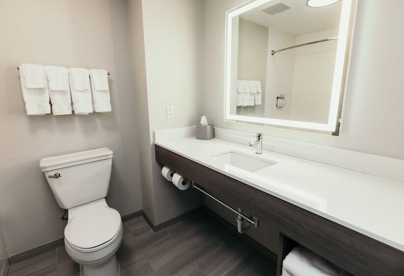 فندق Holiday Inn Express And Suites Urbandale Des Moines, An Ihg