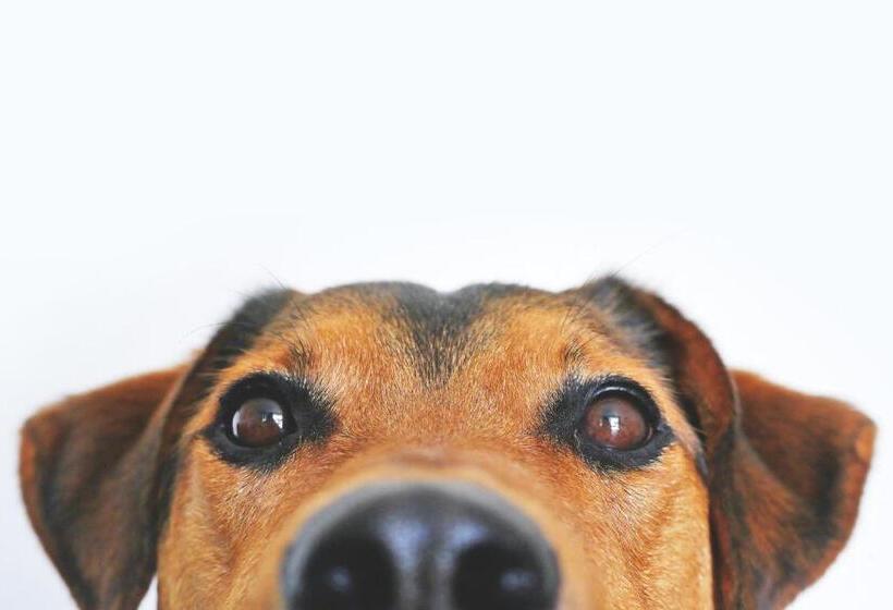 هتل Holiday Inn Express & Suites Truth Or Consequences, An Ihg