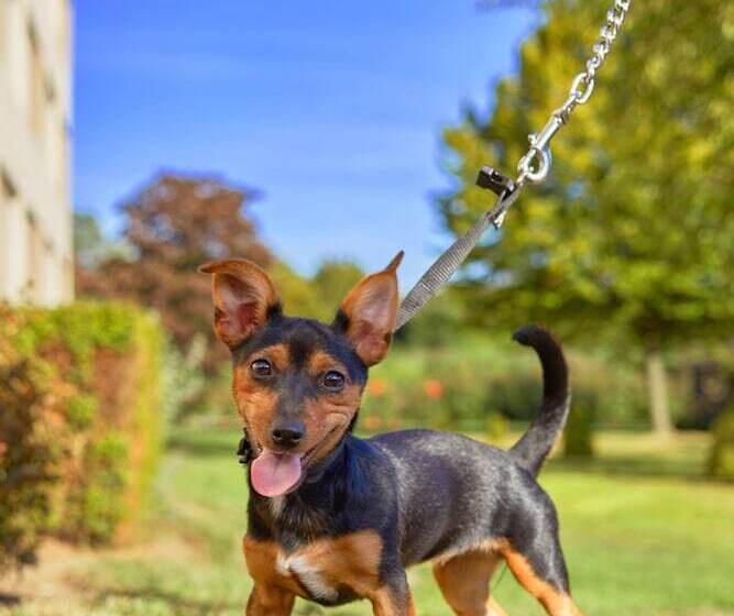 فندق Ibis Budget Antwerpen Port