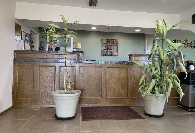 ホテル Knights Inn   Slaton