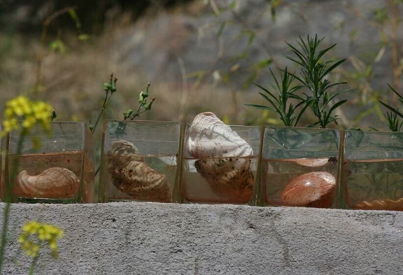 בית מלון כפרי La Canela