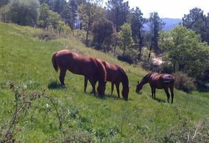 בית מלון כפרי La Canela