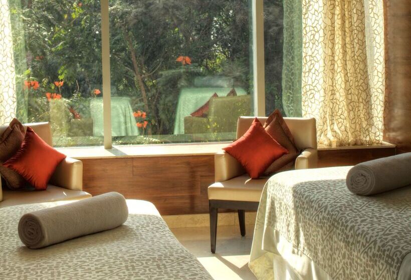 Park Hyatt Hotel And Residences, Hyderabad