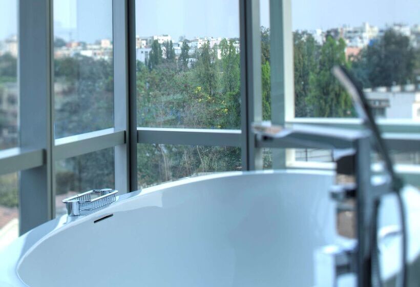 Park Hyatt Hotel And Residences, Hyderabad