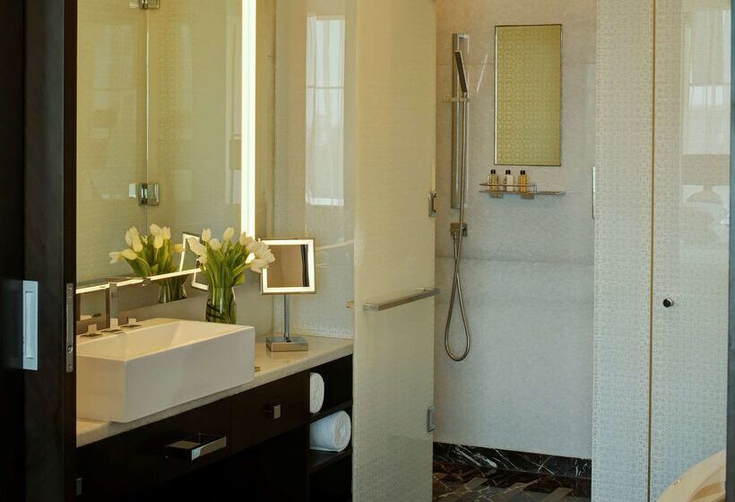 Park Hyatt Hotel And Residences, Hyderabad