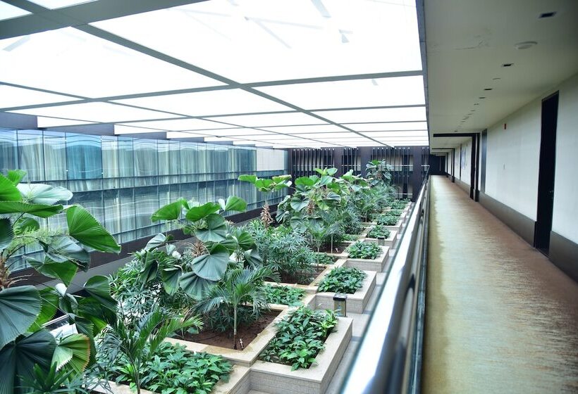 Park Hyatt Hotel And Residences, Hyderabad