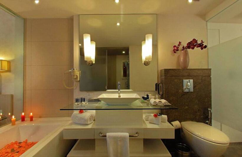 酒店 Park Plaza Faridabad