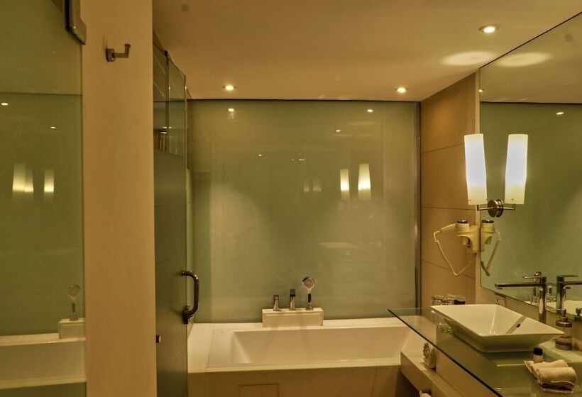 酒店 Park Plaza Faridabad