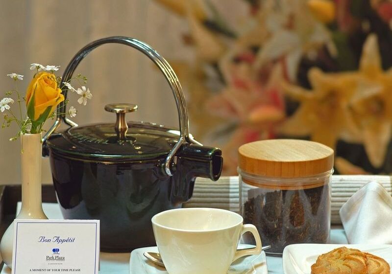 酒店 Park Plaza Faridabad