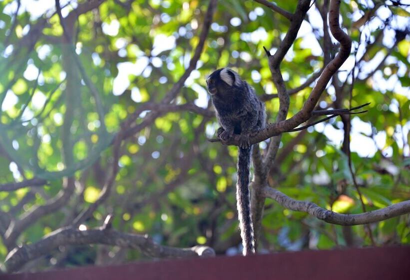 酒店 Pousada Iande