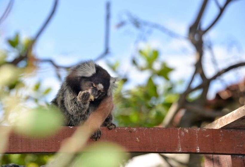 酒店 Pousada Iande