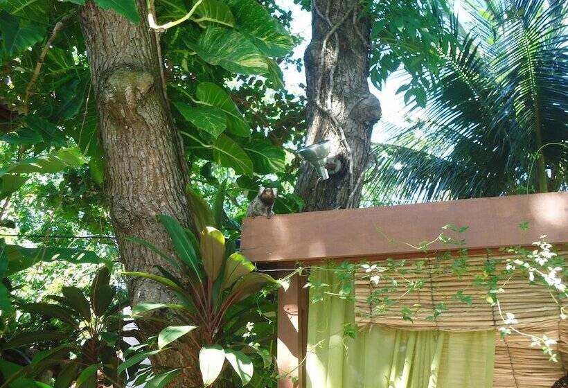 酒店 Pousada Tamanduá