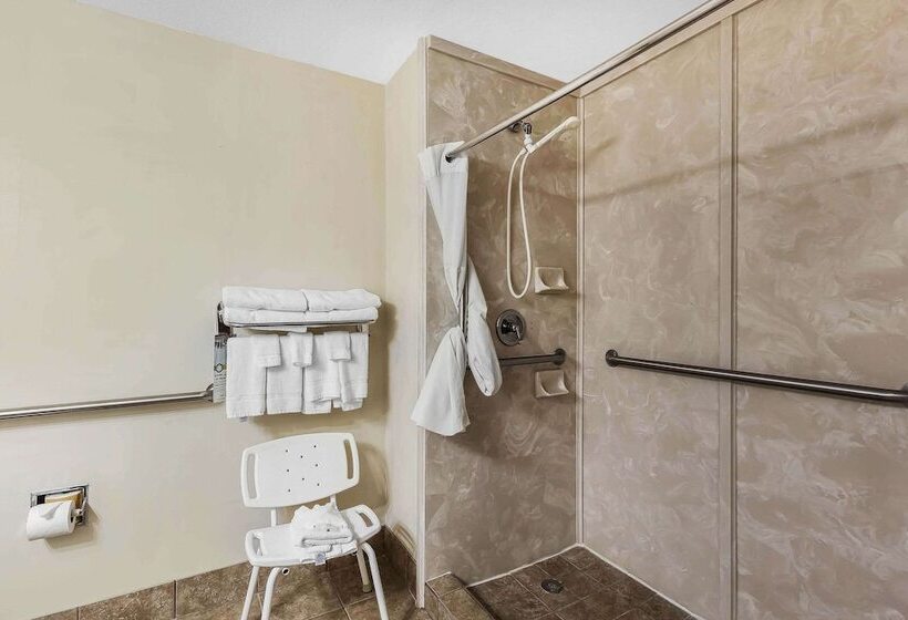 호텔 Quality Inn & Suites  Granbury