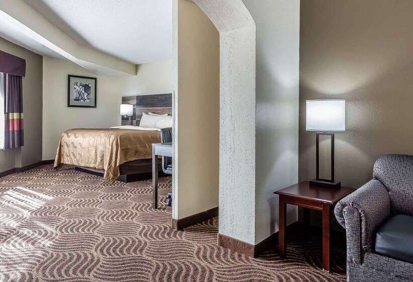 ホテル Quality Inn & Suites