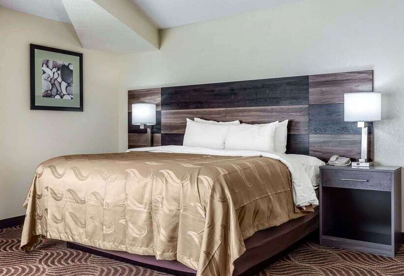 ホテル Quality Inn & Suites
