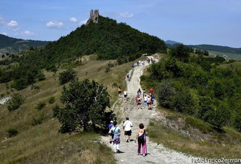 בית מלון כפרי Salus