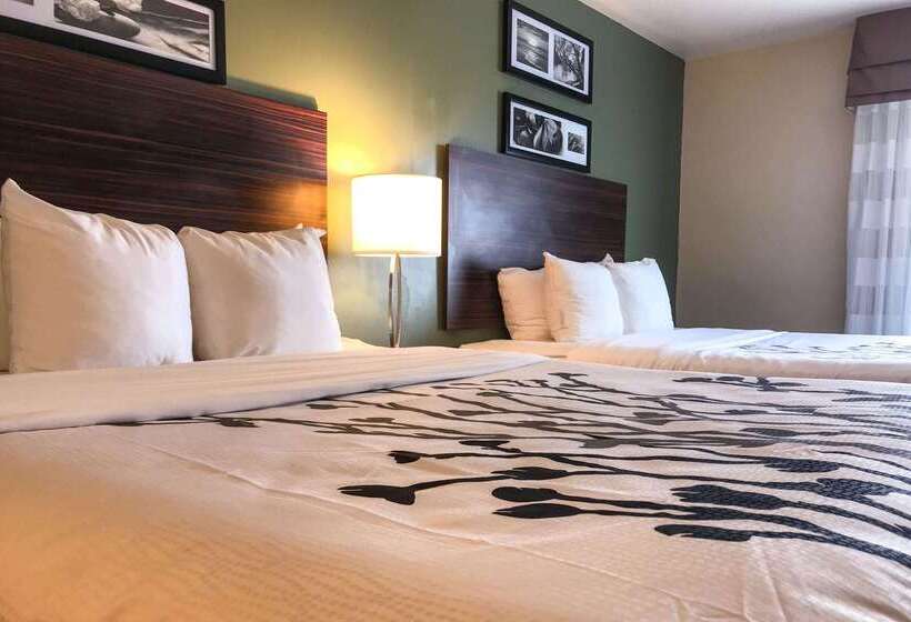 ホテル Spark By Hilton Shepherdsville Louisville South