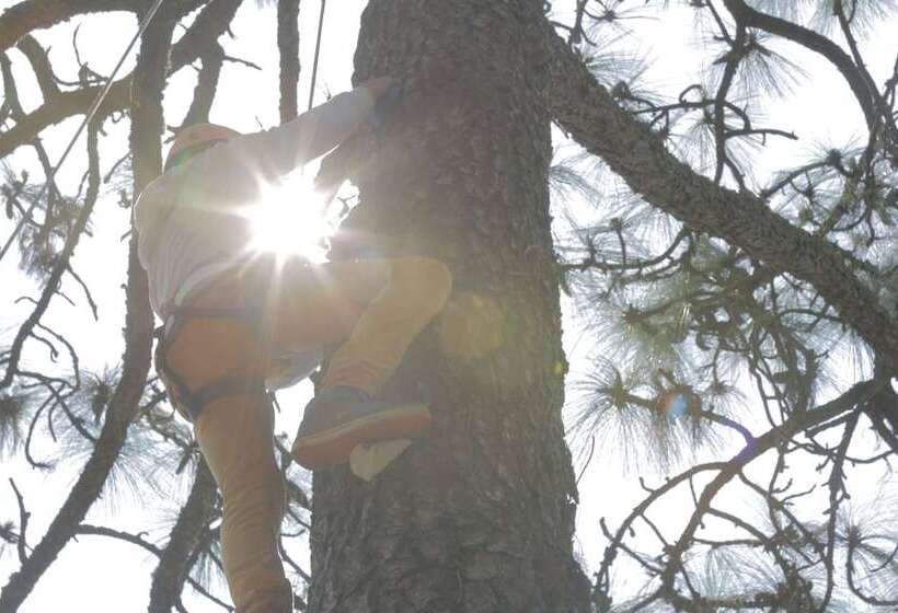 בית מלון כפרי Tapalpa Country Club