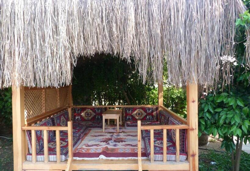 酒店 Telmessos Select