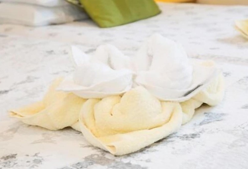 هتل The Firs Bed And Breakfast