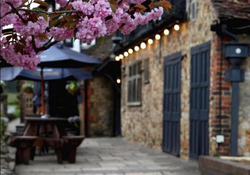 בית מלון כפרי The Grasshopper Inn