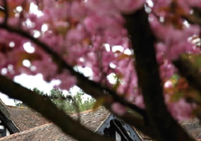 ホテル The Grasshopper Inn