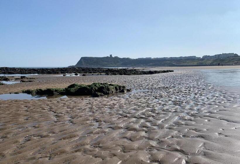 בית מלון כפרי The Headlands