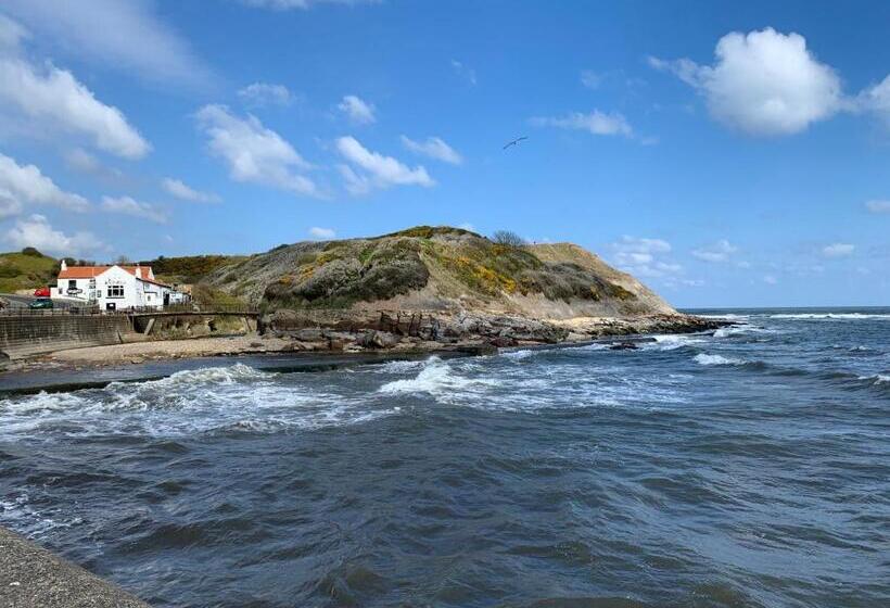 בית מלון כפרי The Headlands