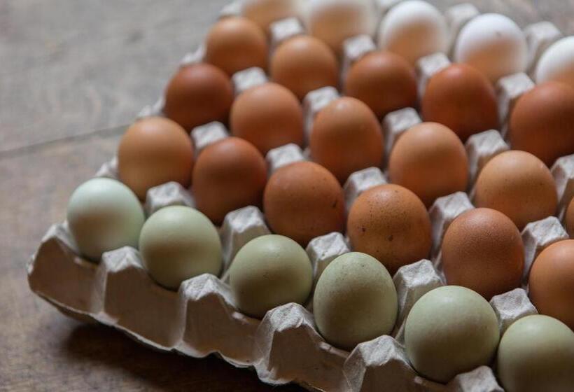 ホテル The King S Head