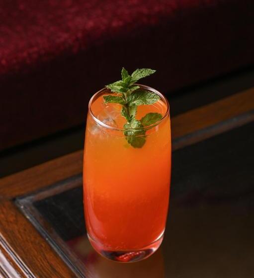 酒店 Umed Bhawan Palace, Kotah