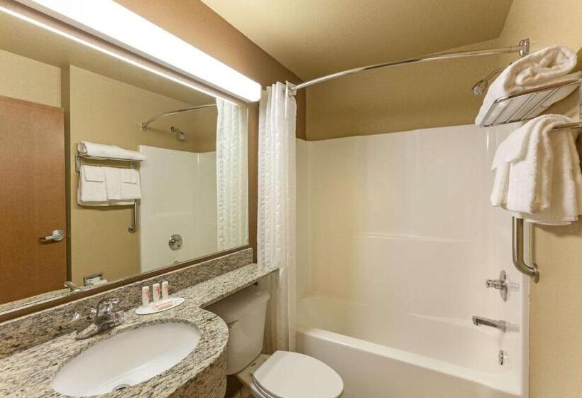 Microtel Inn & Suites By Wyndham Searcy