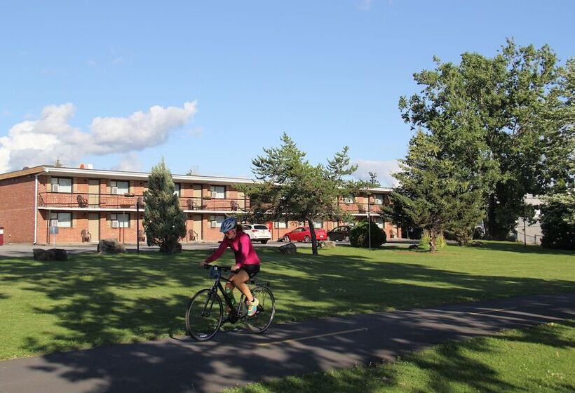 Motel Et Appartements Du Fleuve