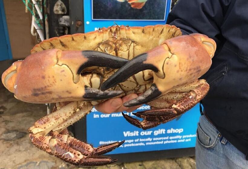 ベッドアンドブレックファースト Cosy Snug Room With Shower Ensuite Private Balcony With Countryside Views And A Real Open Fireplace